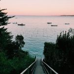 instagram canoncapferret ©️ marion girault-rime