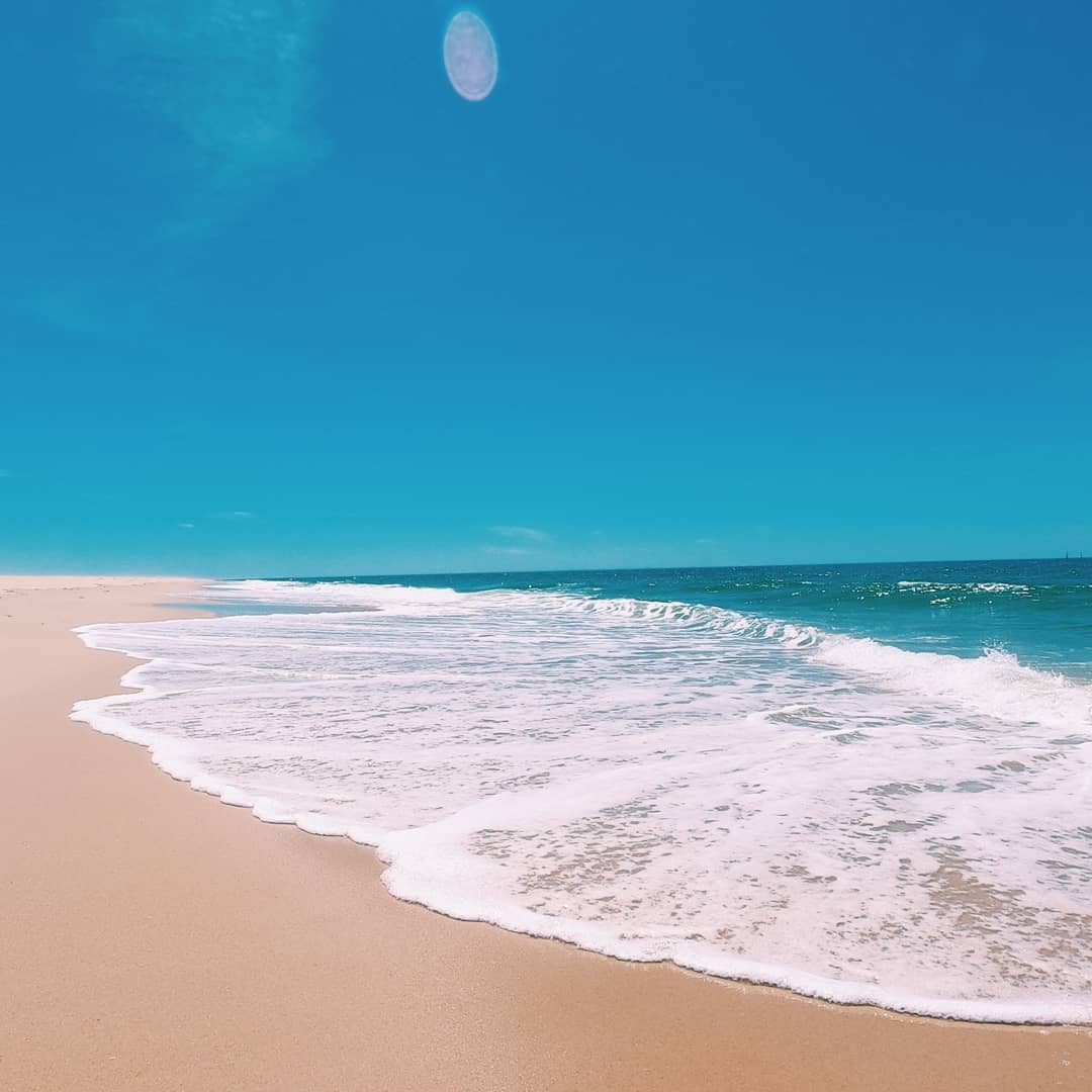 plage sur le banc d'Arguin, ciel bleu, ambiance un peu paradisiaque