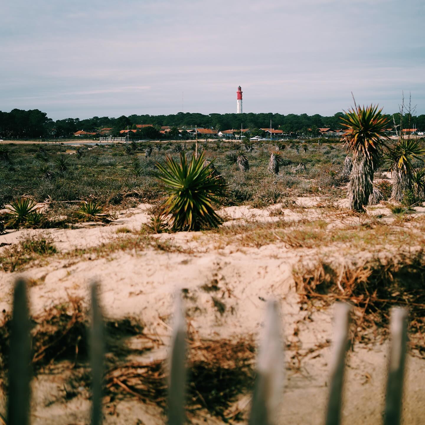 Phare du Cap Ferret à l'automne